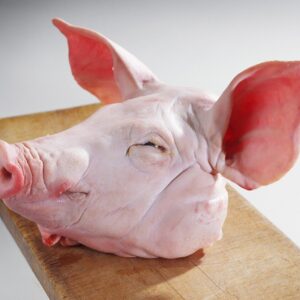 frozen pork head